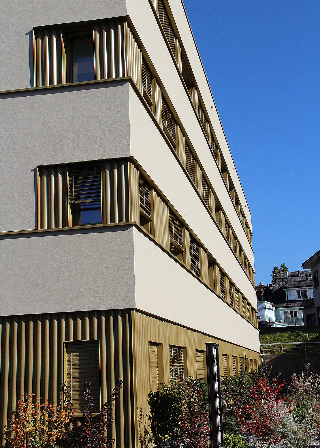 Image - IMG_70222.JPG