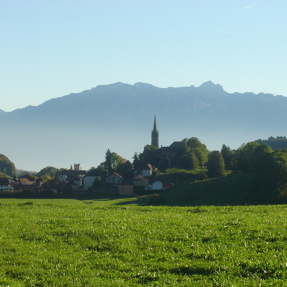 Image - PA005.jpg